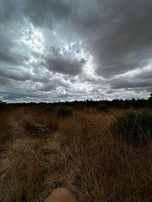 WhatsApp Bild 2025-09-29 um 15.28.33_0a8d5609