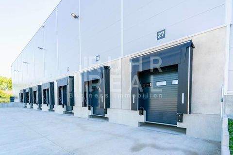 Neuss Halle, Neuss Hallenfläche