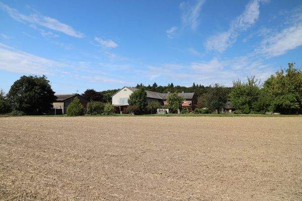 Feldblick alternativ.JPG