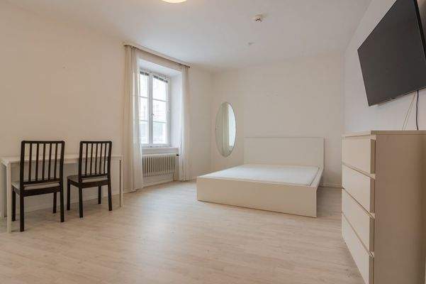 Wohn-Schlafkochbereich (2)