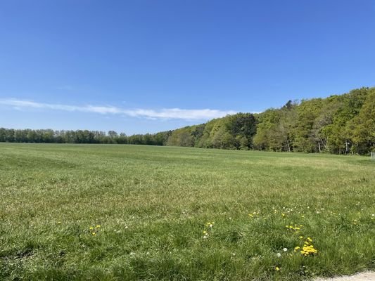 Lage am Küstenschutzwald