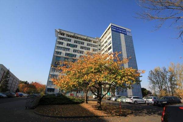 Außenansicht mit Baum.JPG