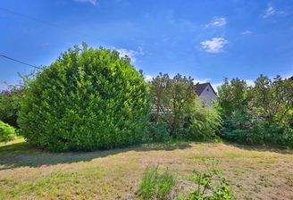 Großzügiger Garten