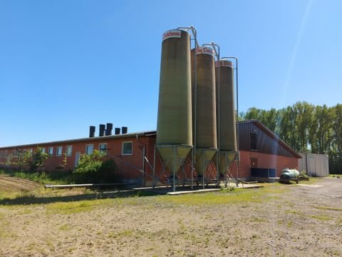 Rahden Bauernhöfe, Landwirtschaft, Rahden Forstwirtschaft