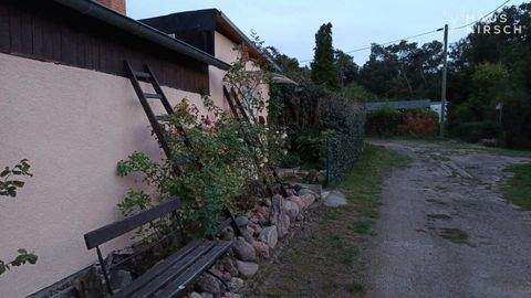 Gommern Häuser, Gommern Haus kaufen