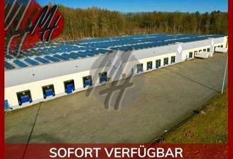 INFOS UNTER: 06171-586000