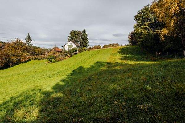 Bauerwartungsland (LW) GStNr. 40/5