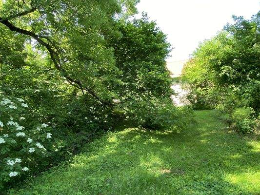 Blick in den weitläufigen Garten