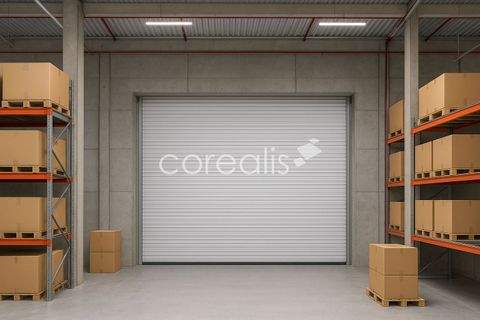 Neuss Halle, Neuss Hallenfläche