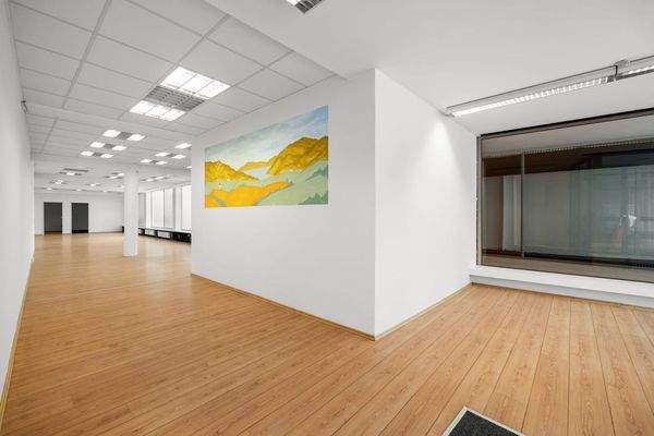 Verkaufsraum/Büro-/Ladenfläche