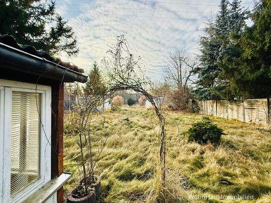 Blick zum hinteren Grundstücksteil