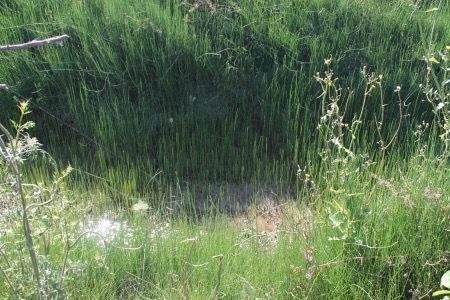 WhatsApp Bild 2025-10-18 um 21.57.26_4b8d8e5b