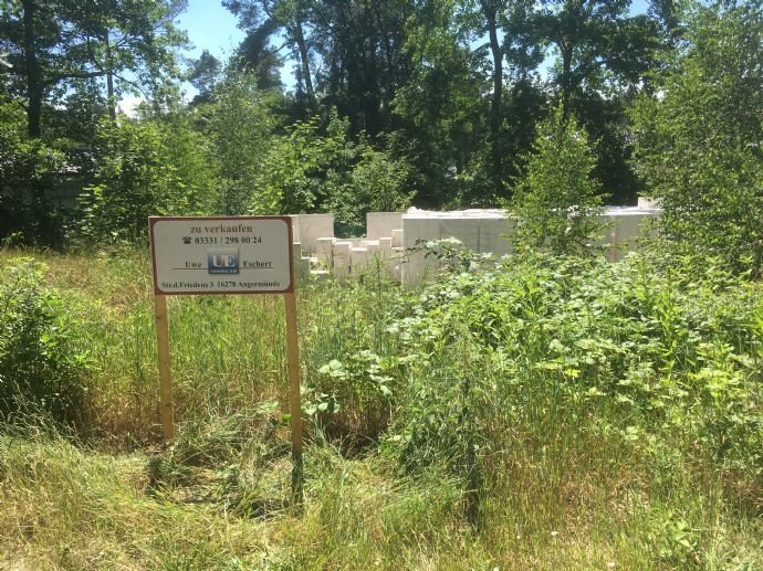 Baugrundstück mit angefangener Baumaßnahme für Stadtvilla, Frühjahrsangebot