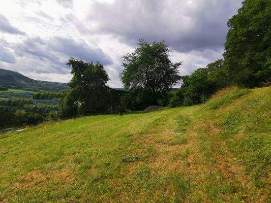 WhatsApp Image 2024-07-12 at 14.54.19 (4).jpeg