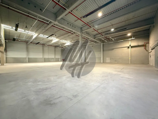 INFOS UNTER: 06171-586000