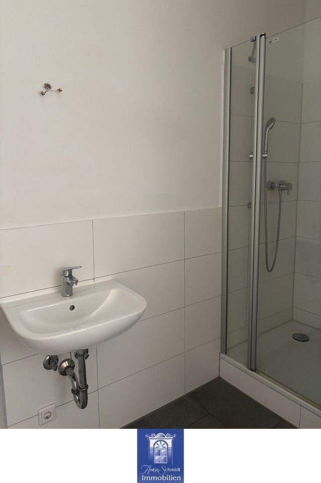 Entzückende Wohnung in Jugendstilvilla in Briesnitz! - Foto 3
