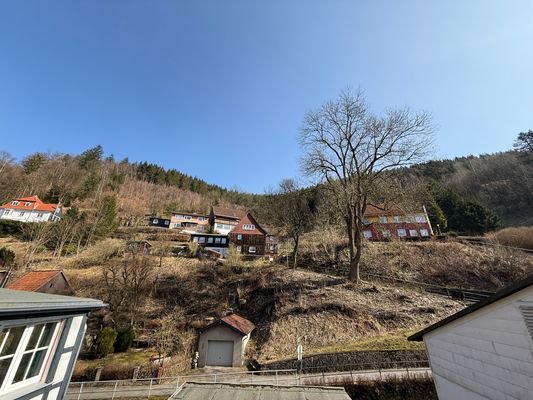 Blick vom Balkom 