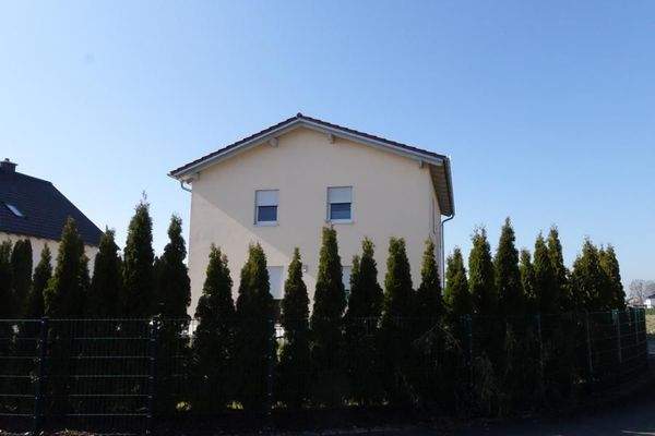 Zaunbepflanzung uneinsehbar.JPG