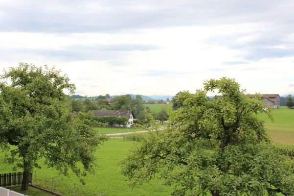 Ausblick vom Balkon