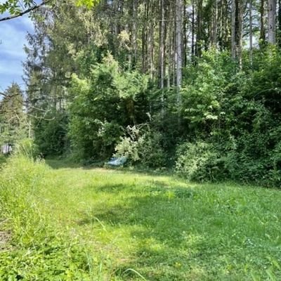 Bild 18