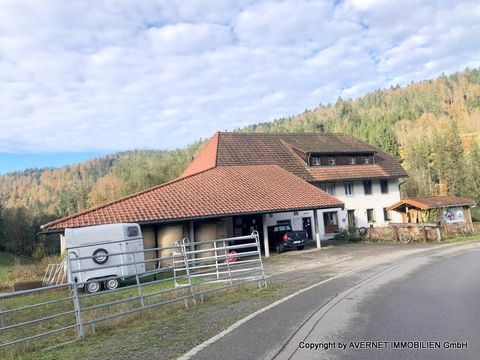 Todtmoos / Todtmoos Au Häuser, Todtmoos / Todtmoos Au Haus kaufen