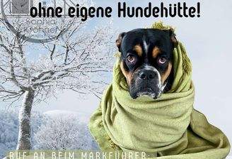 4Winter