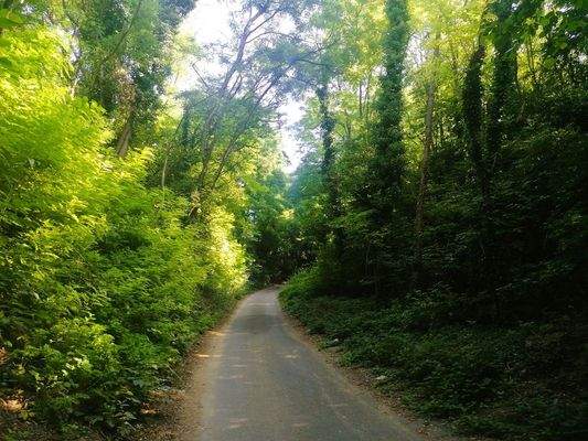 2 Asphaltstraße.jpg