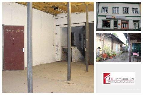 Strausberg Halle, Strausberg Hallenfläche