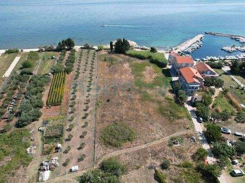 Centar, Kraj Bauernhöfe, Landwirtschaft, Centar, Kraj Forstwirtschaft