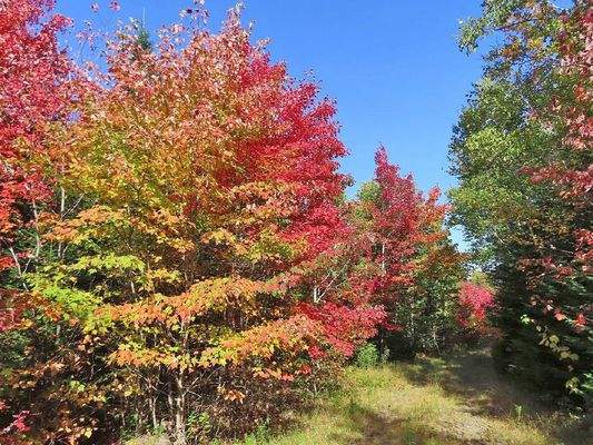Nova Scotia - West Side Country Harbour - 52-Hekta