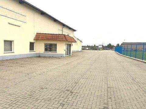 Malchin Halle, Malchin Hallenfläche