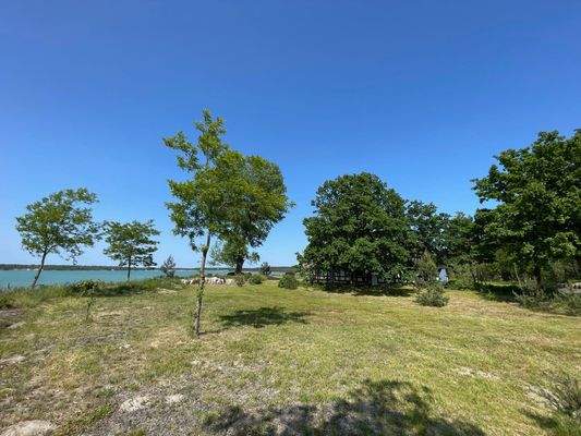 Grundstück mit Zufahrt.JPG