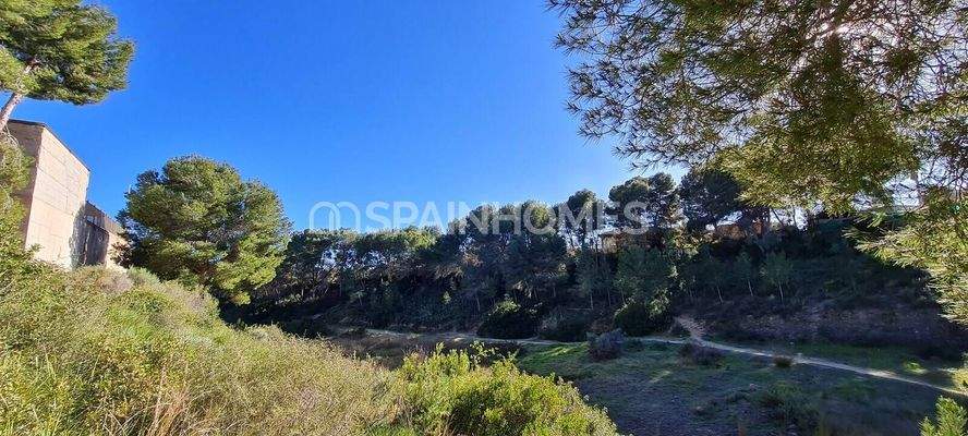 Modern Detached Villa for Sale in Pinar de Campoverde