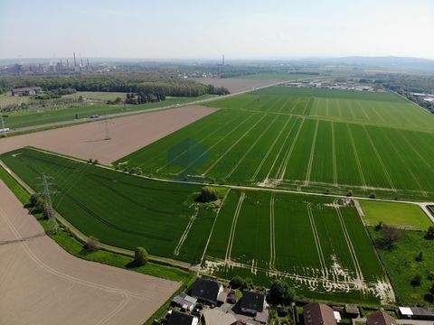 Arholzen Grundstücke, Arholzen Grundstück kaufen