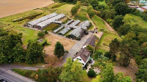 Essen Bauernhöfe, Landwirtschaft, Essen Forstwirtschaft