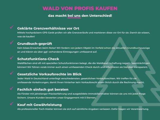 Wald von Profis kaufen.jpg