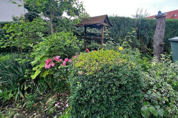 Garten mit eigenem Ginkobaum