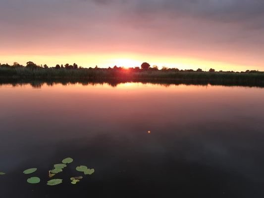 Am Teich ca. 100 m