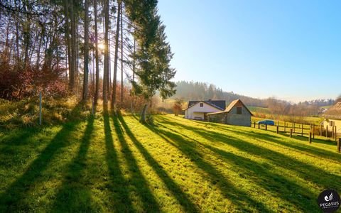 Laßnitzhöhe Häuser, Laßnitzhöhe Haus kaufen