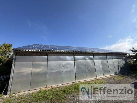 Martinshöhe Halle, Martinshöhe Hallenfläche