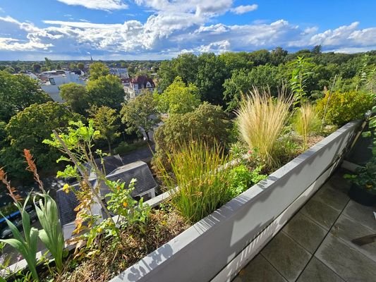 Blick vom Westbalkon