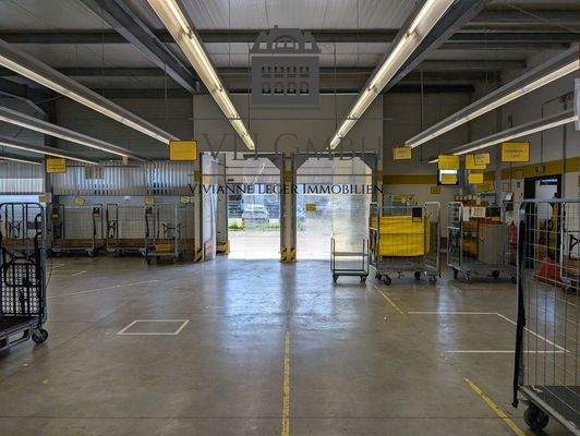 PXL_20240708_081148428