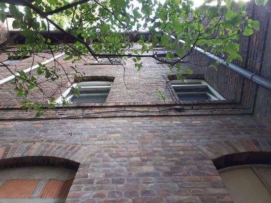 Hausansicht (Rückseite)