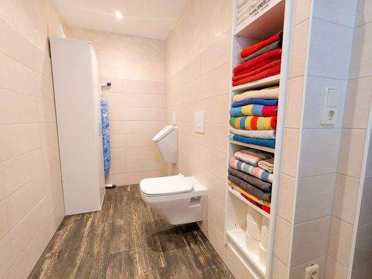 EFH EG Bad WC-Bereich