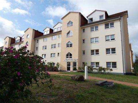 Bernau bei Berlin Wohnungen, Bernau bei Berlin Wohnung mieten