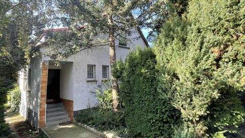 Bernburg Häuser, Bernburg Haus kaufen