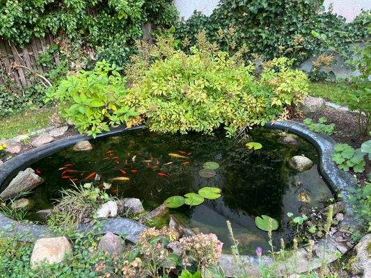  Gartenteich