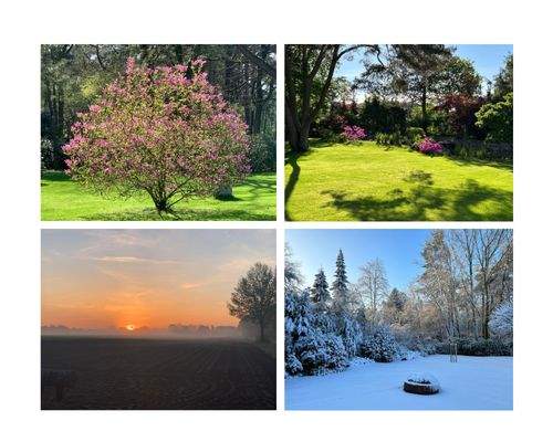 Four Seasons - Impressionen