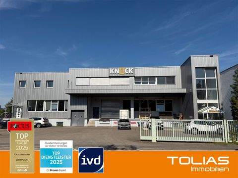 Waiblingen Halle, Waiblingen Hallenfläche