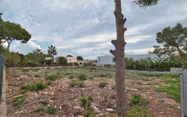 Baugrundstück-Sol-de-Mallorca.jpg